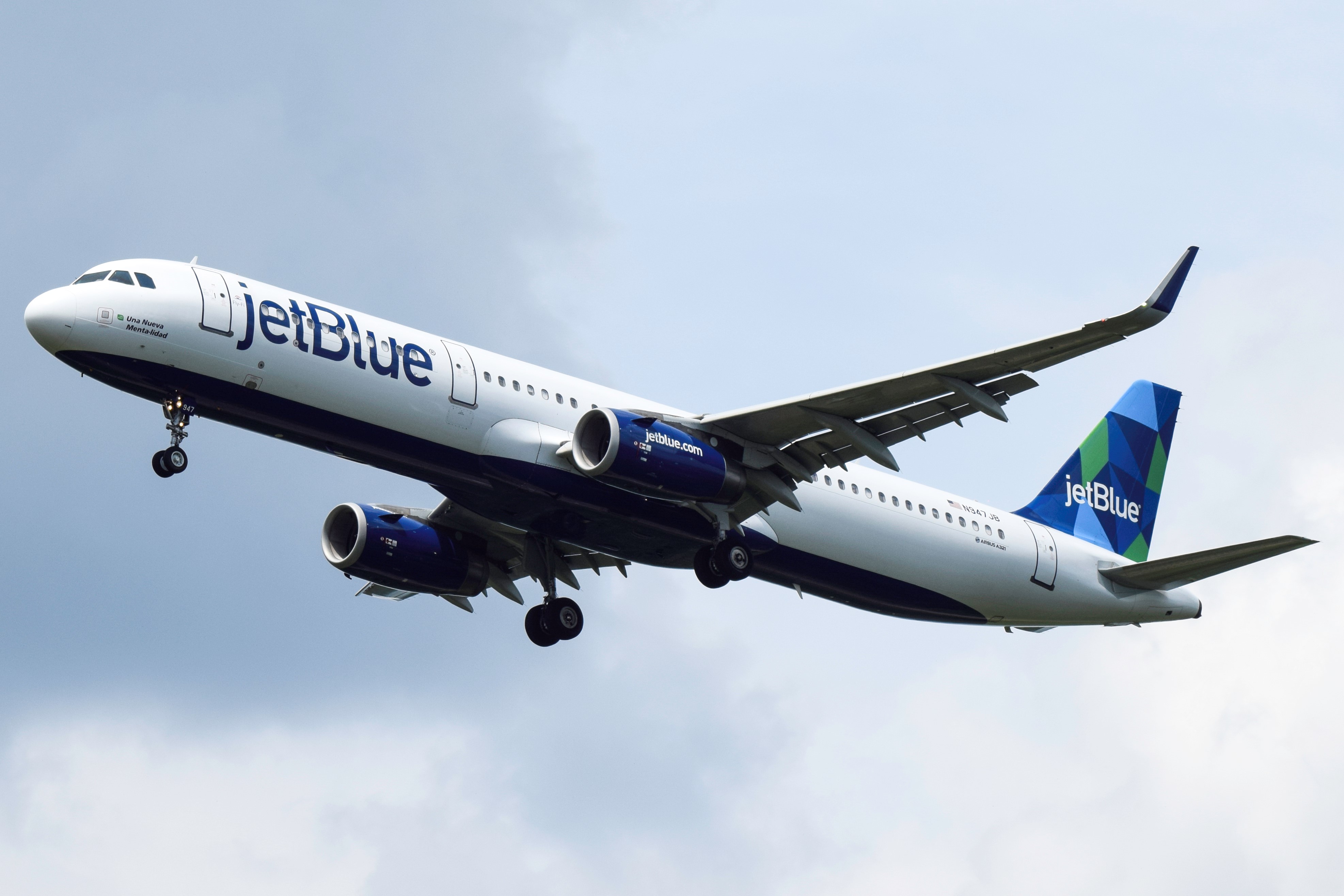 a-guide-to-jetblue-s-many-tails-blue-sky-pit-news-site