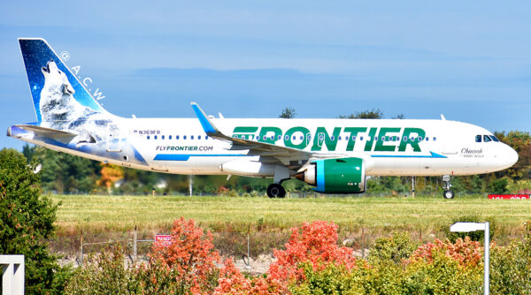 Photos of the Week: Getting the Green Light