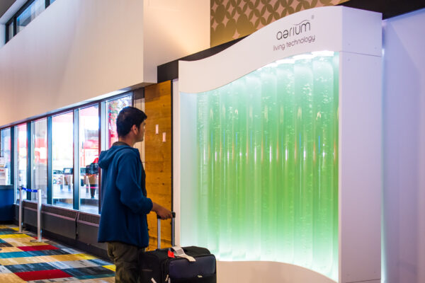 Better Air in the Airport, Thanks to Algae