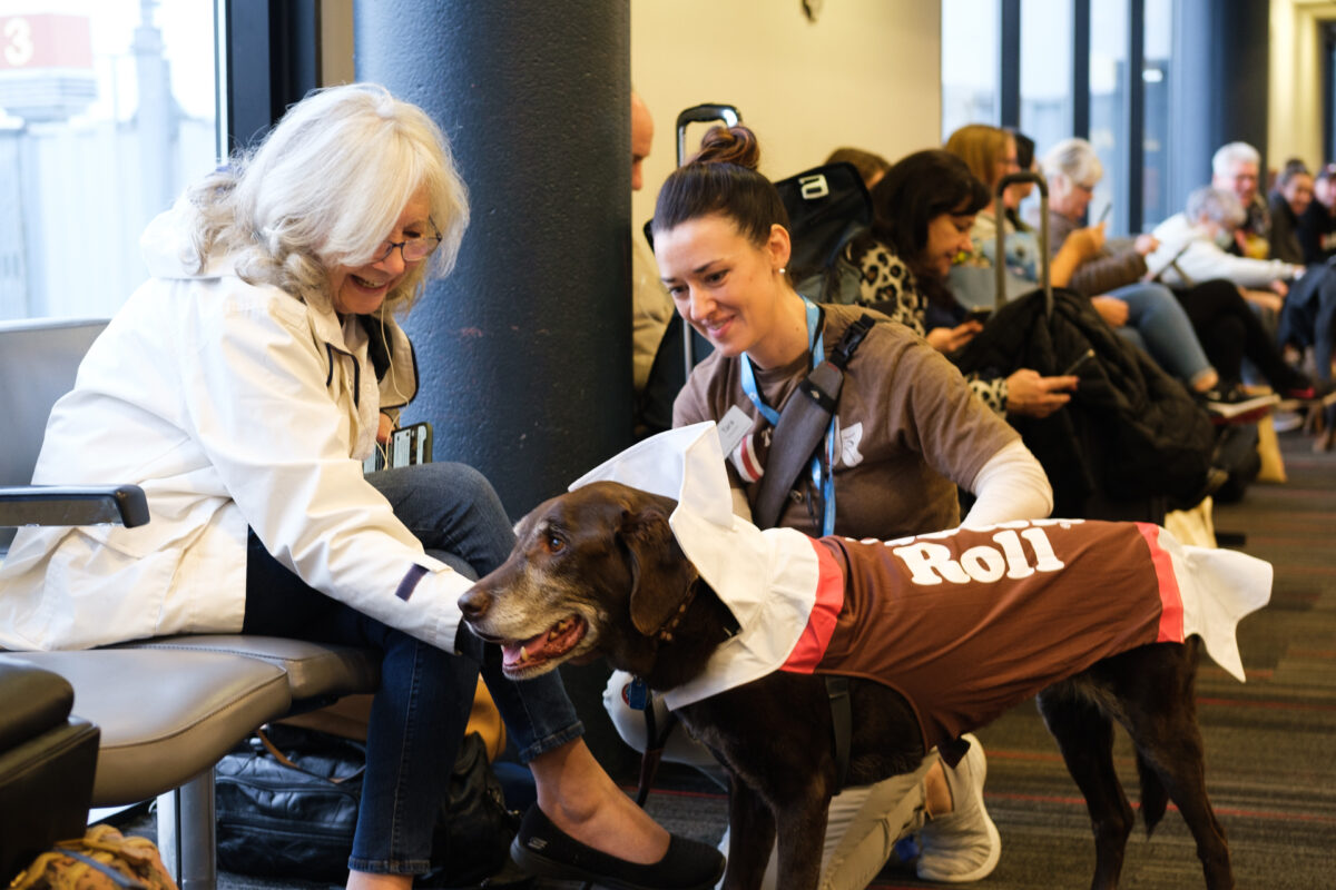 PIT PAWS Team Celebrates Halloween at ‘Scare-port’