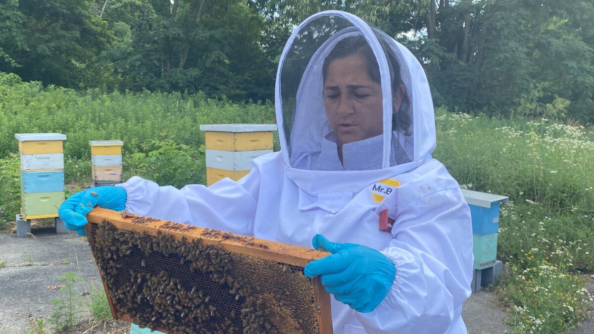 Sweet Salute: Bee Boot Camp Brings Vets to PIT’s Apiaries