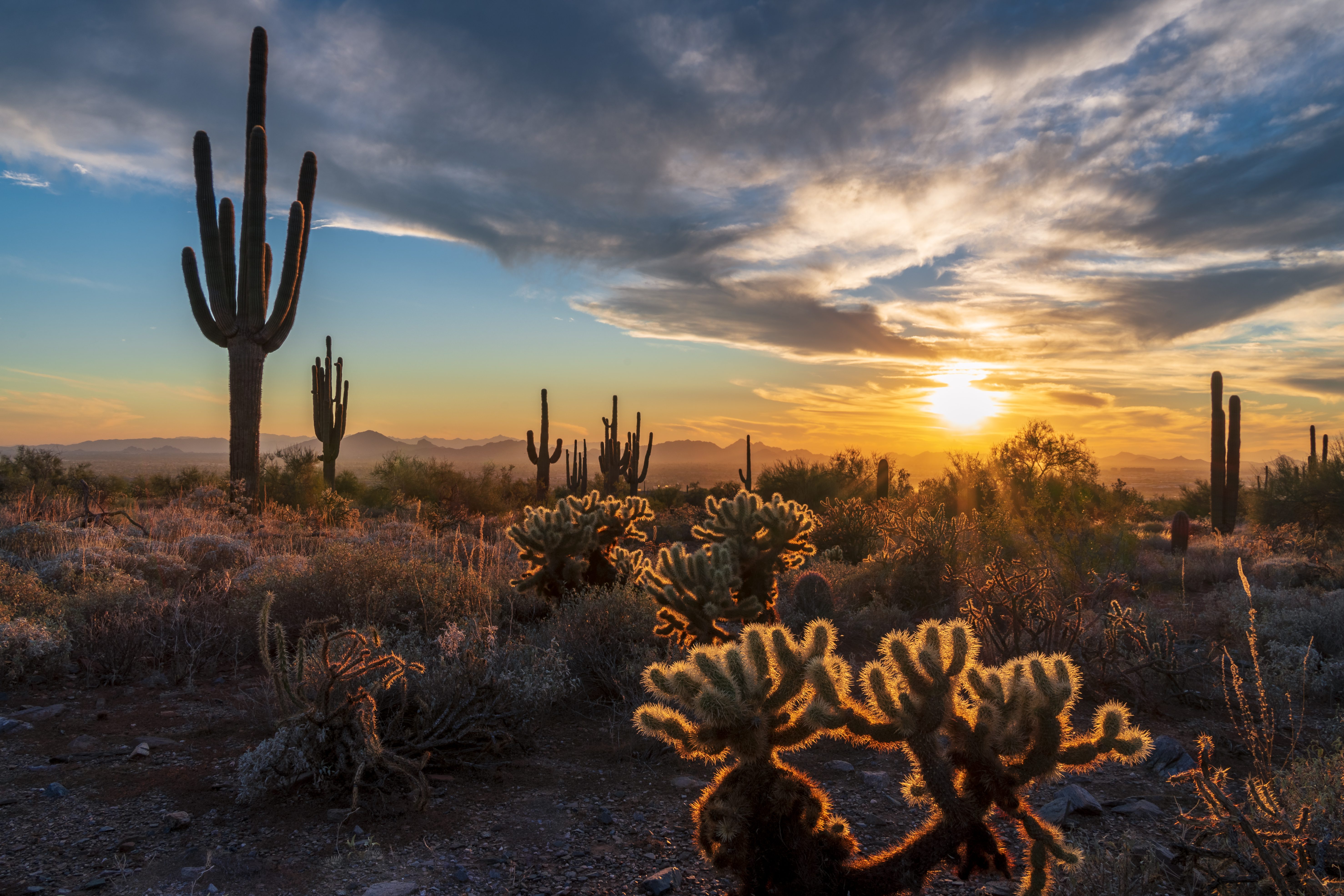 Allegiant Resumes Nonstop Service to Phoenix for Spring Break