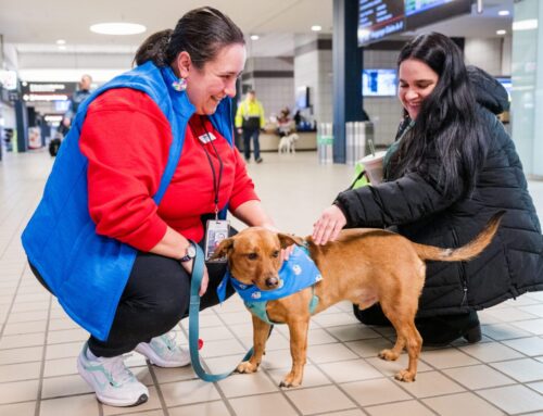 How Are PIT Volunteers Compensated? In Hugs, Tears and Candy