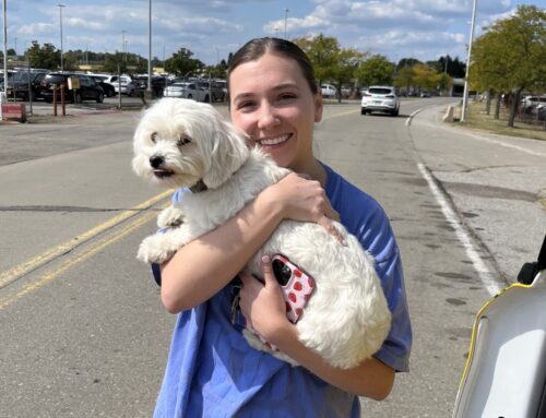 Peewee’s Big Airport Adventure: PIT Operations Team Reunites Missing Dog with Owner