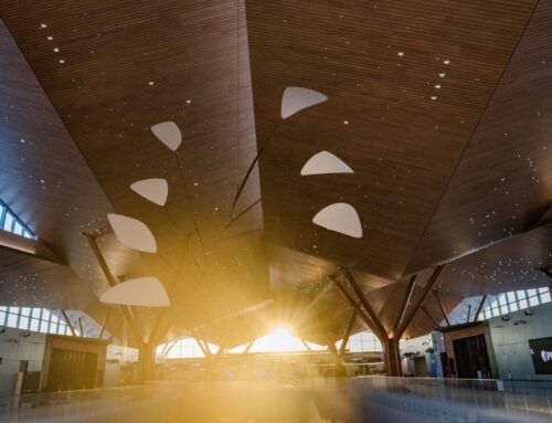 Reflecting on PIT’s Transformation: A Year in Review