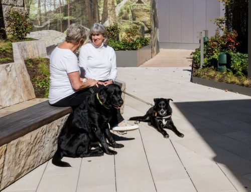 A Breath of Fresh Air: Pittsburgh International Airport Opens Airside Terrace